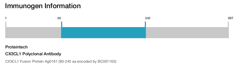 CX3CL1 Polyclonal Antibody