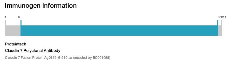 Claudin 7 Polyclonal Antibody