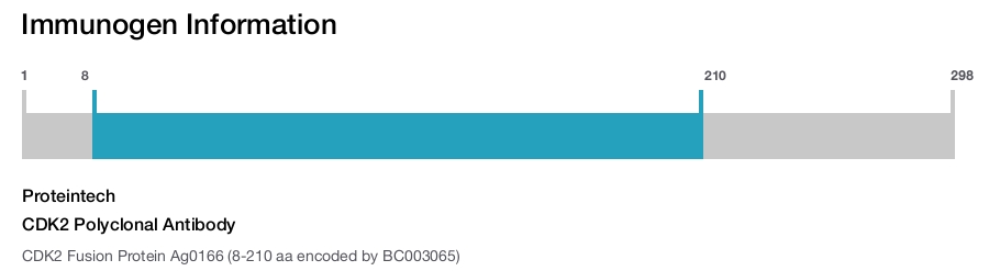 CDK2 Polyclonal Antibody