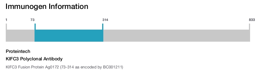 KIFC3 Polyclonal Antibody