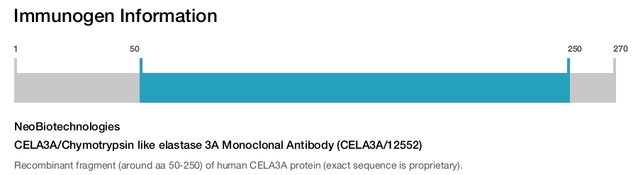 CELA3A/Chymotrypsin like elastase 3A Monoclonal Antibody (CELA3A/12552)