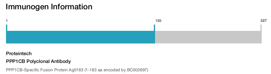 PPP1CB Polyclonal Antibody
