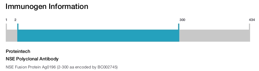 NSE Polyclonal Antibody