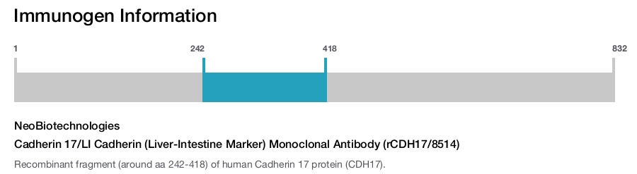 Cadherin 17/LI Cadherin (Liver-Intestine Marker) Monoclonal Antibody (rCDH17/8514)