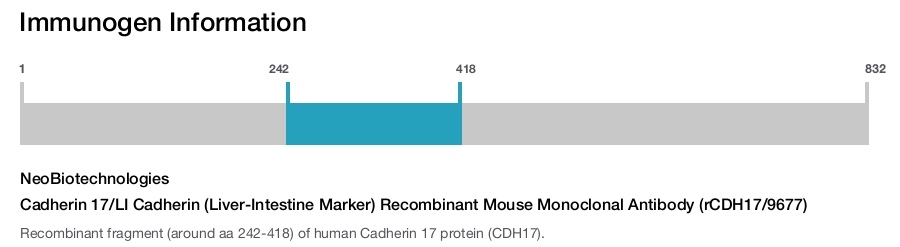 Cadherin 17/LI Cadherin (Liver-Intestine Marker) Recombinant Mouse Monoclonal Antibody (rCDH17/9677)