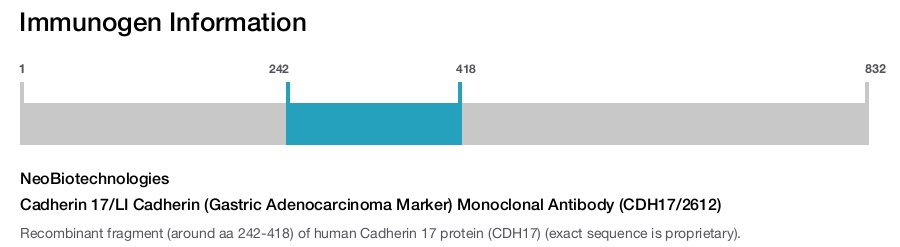 Cadherin 17/LI Cadherin (Gastric Adenocarcinoma Marker) Monoclonal Antibody (CDH17/2612)