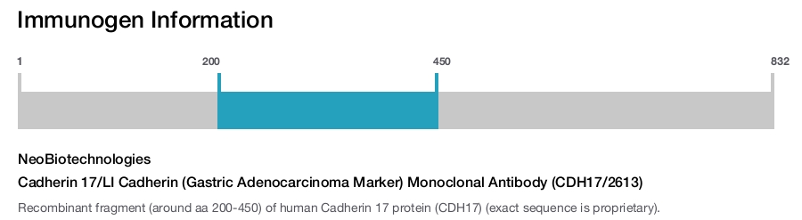 Cadherin 17/LI Cadherin (Gastric Adenocarcinoma Marker) Monoclonal Antibody (CDH17/2613)