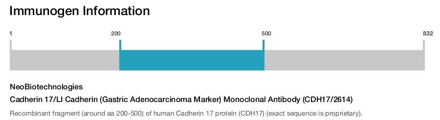 Cadherin 17/LI Cadherin (Gastric Adenocarcinoma Marker) Monoclonal Antibody (CDH17/2614)