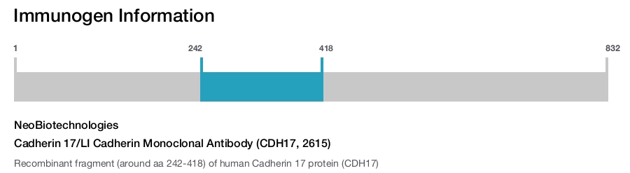 Cadherin 17/LI Cadherin Monoclonal Antibody (CDH17, 2615)
