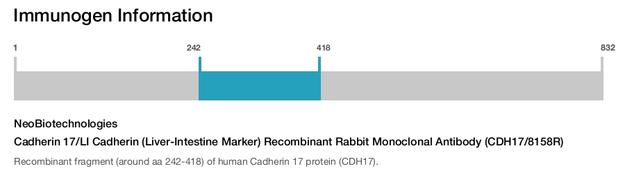 Cadherin 17/LI Cadherin (Liver-Intestine Marker) Recombinant Rabbit Monoclonal Antibody (CDH17/8158R)