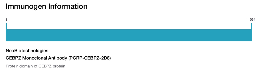 CEBPZ Monoclonal Antibody (PCRP-CEBPZ-2D8)