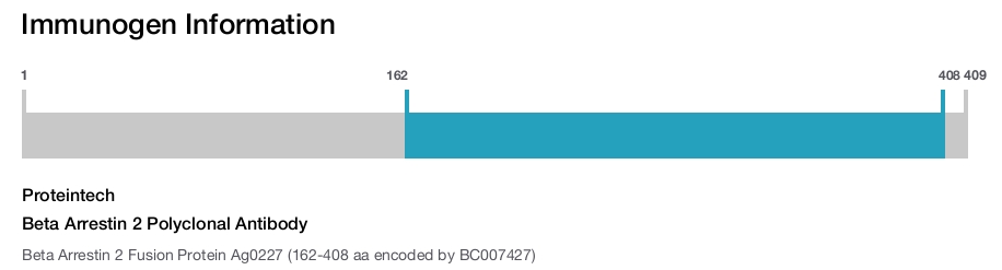 Beta Arrestin 2 Polyclonal Antibody