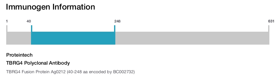 TBRG4 Polyclonal Antibody