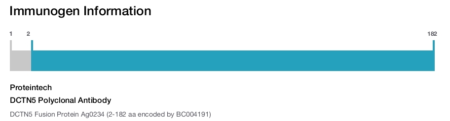 DCTN5 Polyclonal Antibody