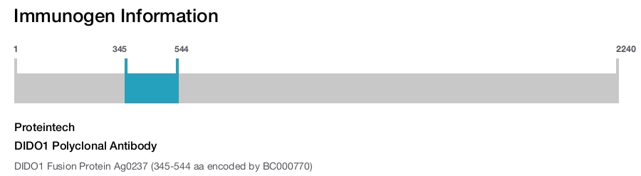 DIDO1 Polyclonal Antibody