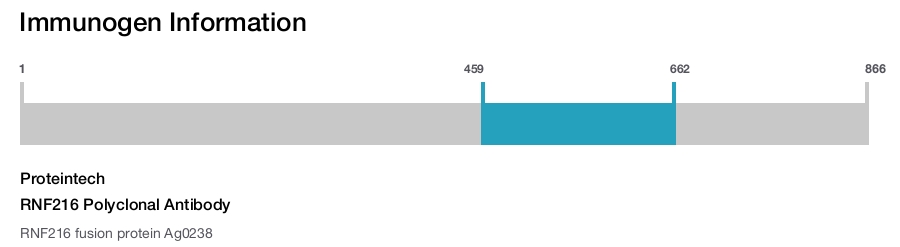 RNF216 Polyclonal Antibody