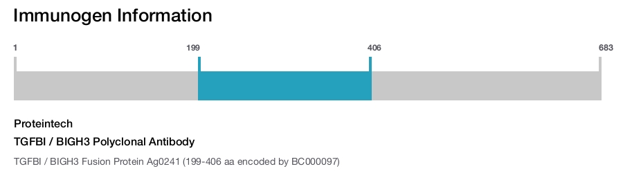 TGFBI / BIGH3 Polyclonal Antibody
