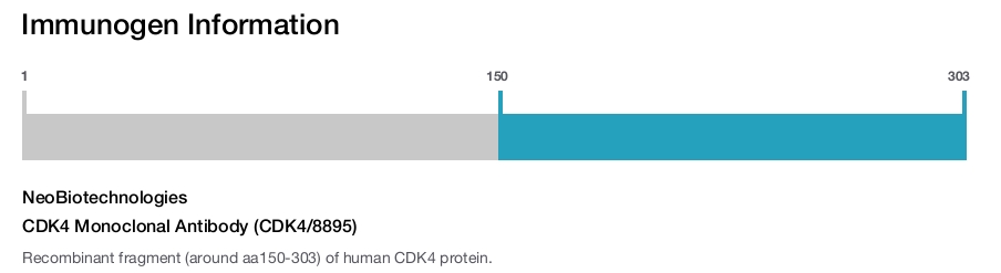 CDK4 Monoclonal Antibody (CDK4/8895)