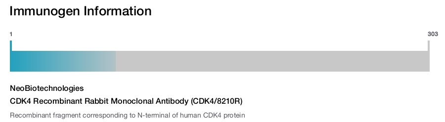 CDK4 Recombinant Rabbit Monoclonal Antibody (CDK4/8210R)