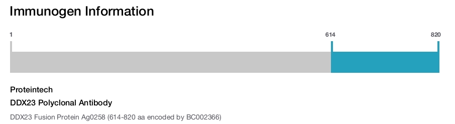 DDX23 Polyclonal Antibody