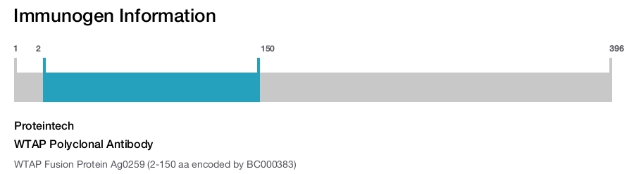 WTAP Polyclonal Antibody
