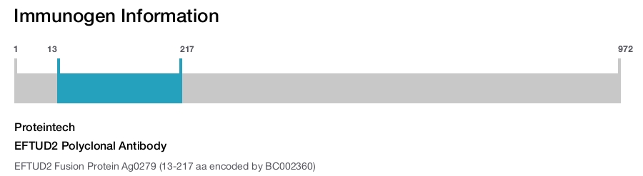 EFTUD2 Polyclonal Antibody