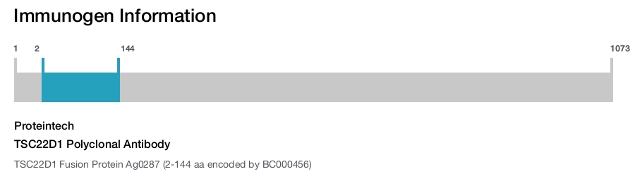 TSC22D1 Polyclonal Antibody
