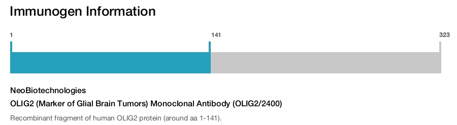 OLIG2 (Marker of Glial Brain Tumors) Monoclonal Antibody (OLIG2/2400)