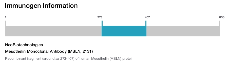 Mesothelin Monoclonal Antibody (MSLN, 2131)