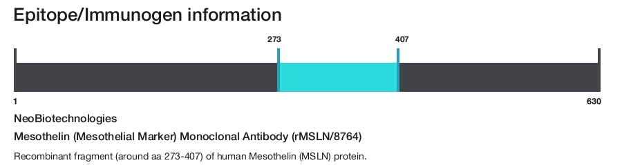 Mesothelin (Mesothelial Marker) Monoclonal Antibody (rMSLN/8764)