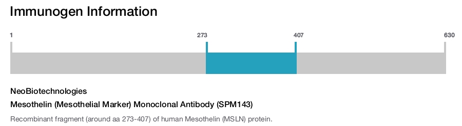Mesothelin (Mesothelial Marker) Monoclonal Antibody (SPM143)