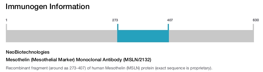 Mesothelin (Mesothelial Marker) Monoclonal Antibody (MSLN/2132)