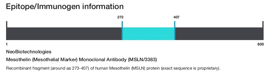 Mesothelin (Mesothelial Marker) Monoclonal Antibody (MSLN/3383)