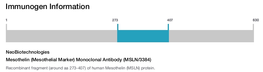 Mesothelin (Mesothelial Marker) Monoclonal Antibody (MSLN/3384)