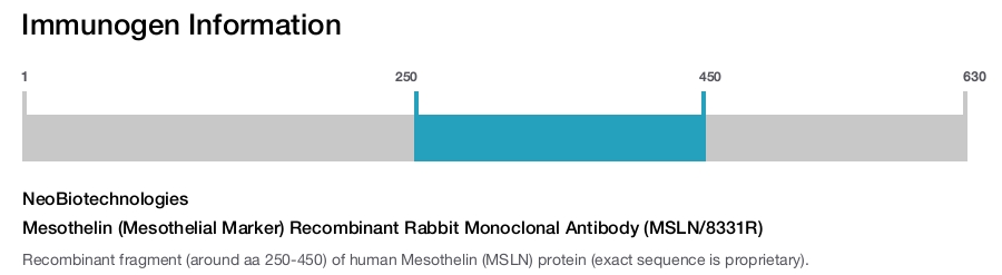 Mesothelin (Mesothelial Marker) Recombinant Rabbit Monoclonal Antibody (MSLN/8331R)