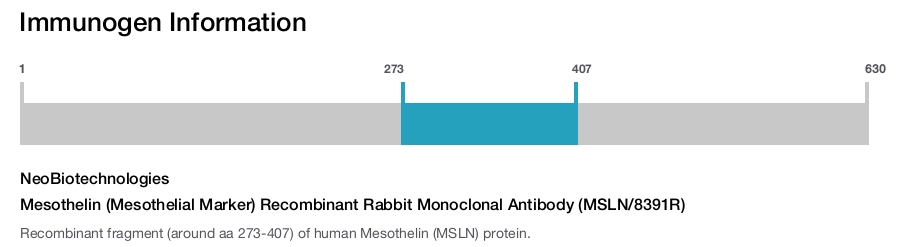 Mesothelin (Mesothelial Marker) Recombinant Rabbit Monoclonal Antibody (MSLN/8391R)