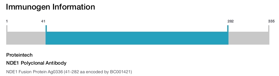 NDE1 Polyclonal Antibody
