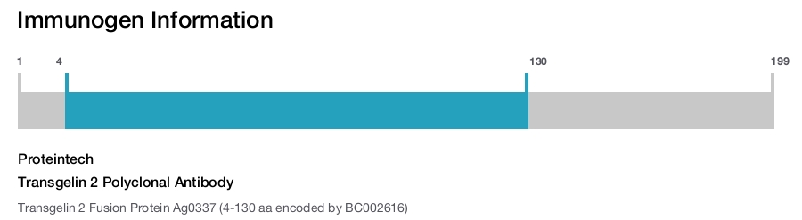 Transgelin 2 Polyclonal Antibody