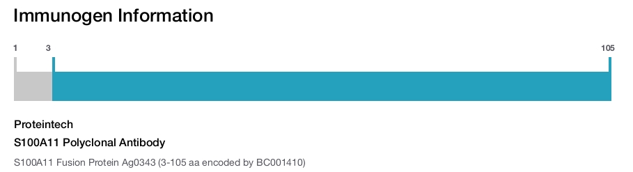 S100A11 Polyclonal Antibody