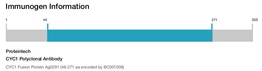 CYC1 Polyclonal Antibody