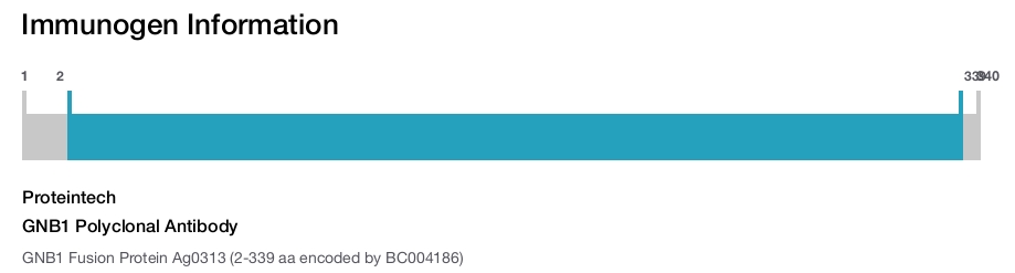 GNB1 Polyclonal Antibody