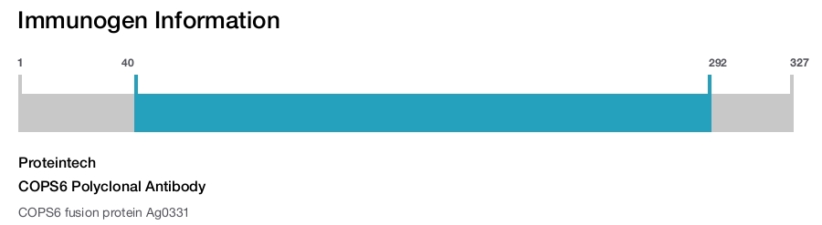 COPS6 Polyclonal Antibody