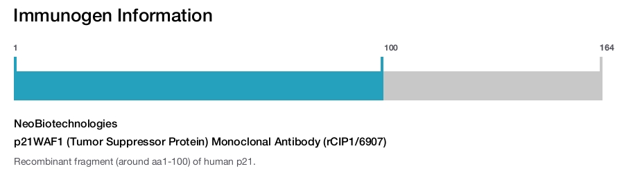 p21WAF1 (Tumor Suppressor Protein) Monoclonal Antibody (rCIP1/6907)