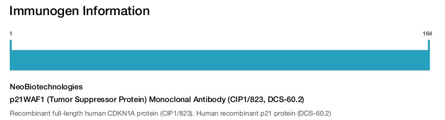 p21WAF1 (Tumor Suppressor Protein) Monoclonal Antibody (CIP1/823, DCS-60.2)