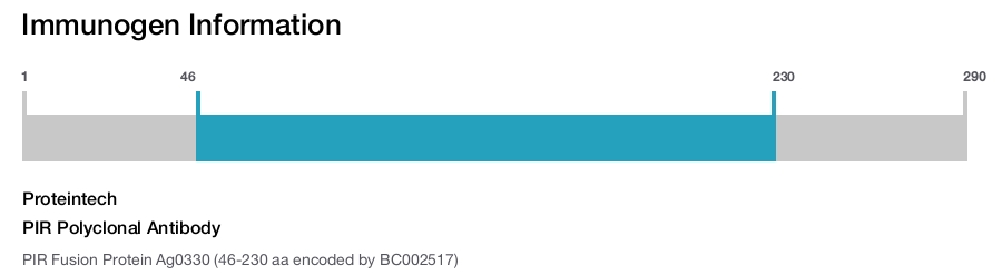 PIR Polyclonal Antibody