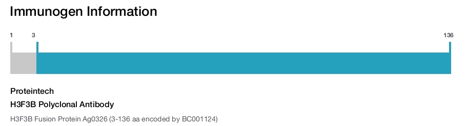H3F3B Polyclonal Antibody