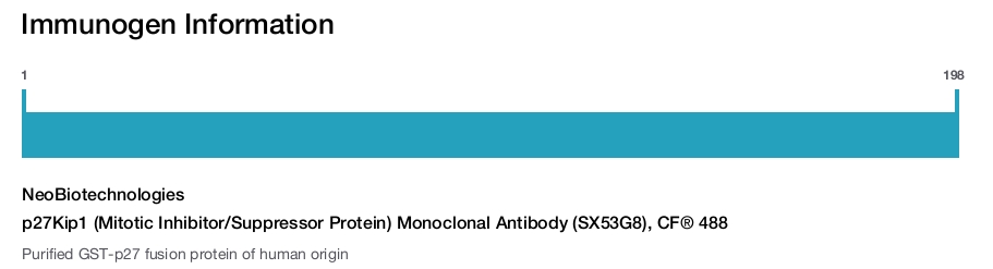 p27Kip1 (Mitotic Inhibitor/Suppressor Protein) Monoclonal Antibody (SX53G8), CF® 488