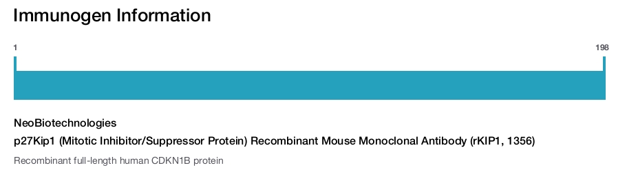 p27Kip1 (Mitotic Inhibitor/Suppressor Protein) Recombinant Mouse Monoclonal Antibody (rKIP1, 1356)