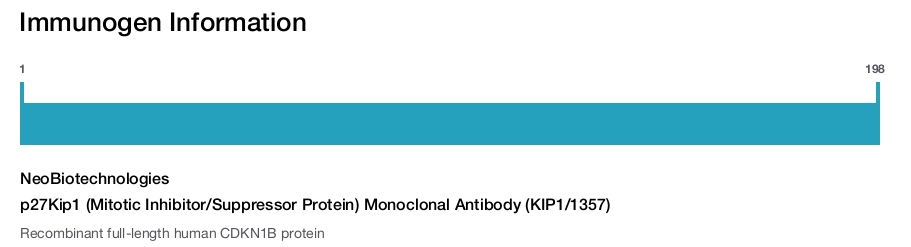 p27Kip1 (Mitotic Inhibitor/Suppressor Protein) Monoclonal Antibody (KIP1/1357)