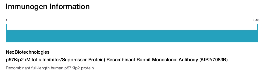 p57Kip2 (Mitotic Inhibitor/Suppressor Protein) Recombinant Rabbit Monoclonal Antibody (KIP2/7083R)